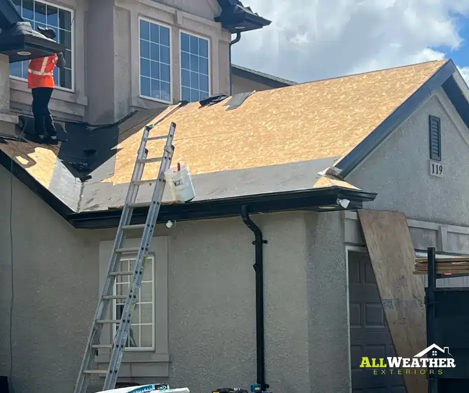 professional roofers installing a roof