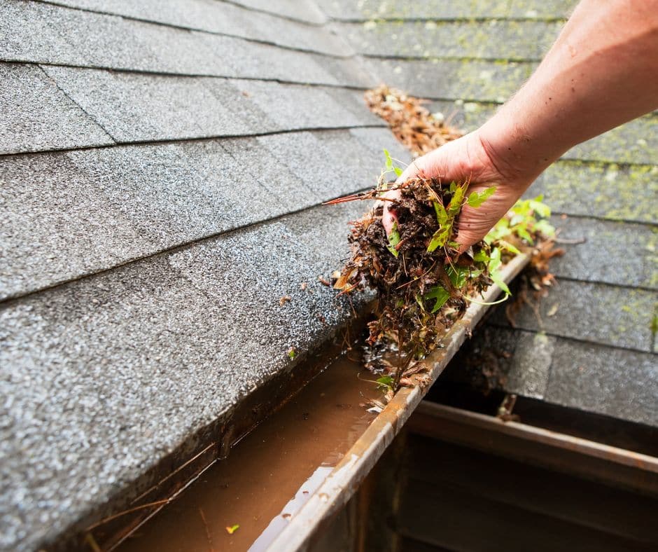 a hand holding leaves and debris from gutter