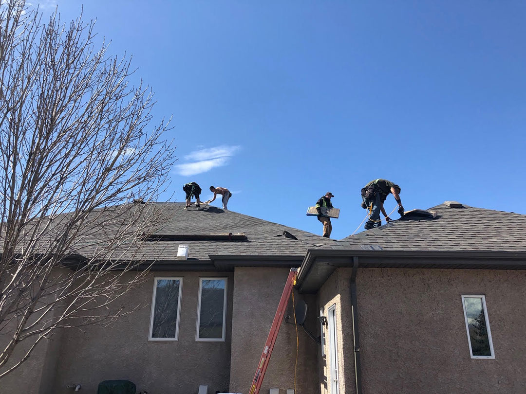 2019 Roof installation