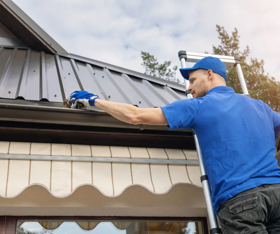 a man on a ladder cleaning the roof gutter