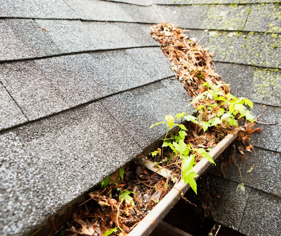 clogged gutters