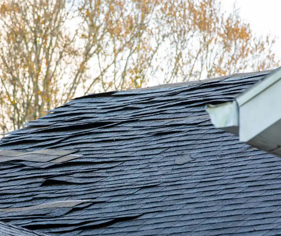 check for sagging roofs to help you decide whether to restore or replace the roof