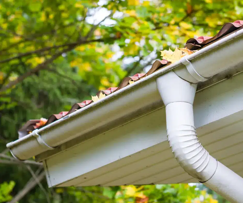 winnipeg roof eaves clogged with leaves