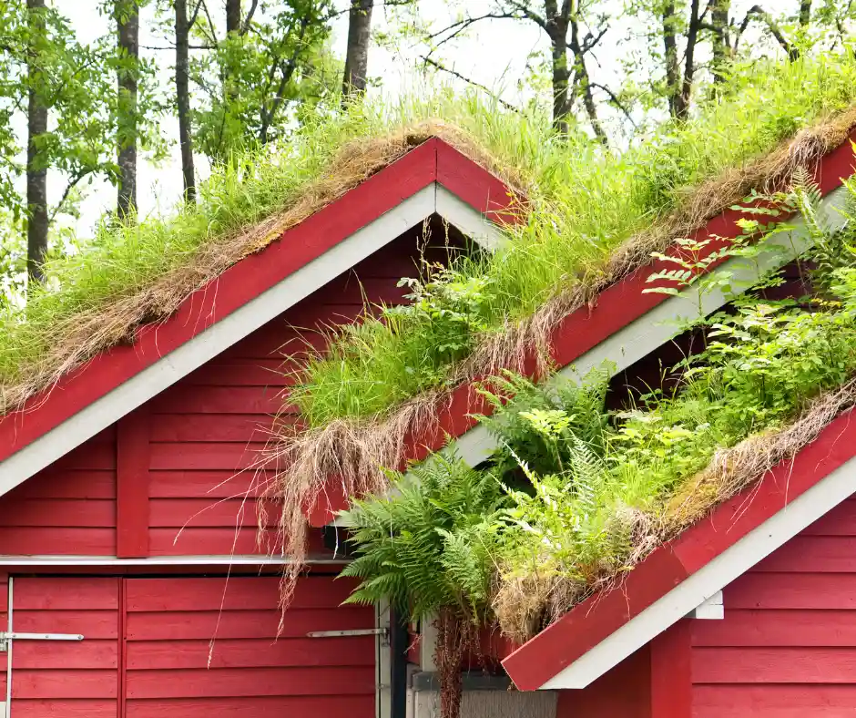 a red building with green roof