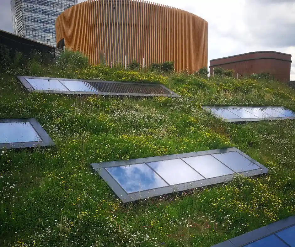 green roof with skylights in the city