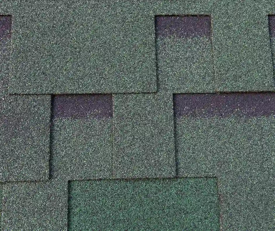 a close-up of a roof shingle