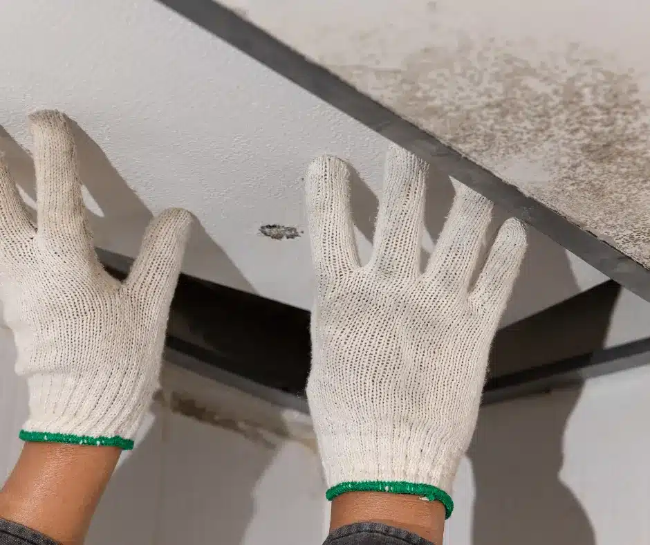 a person wearing white gloves inspecting the attic